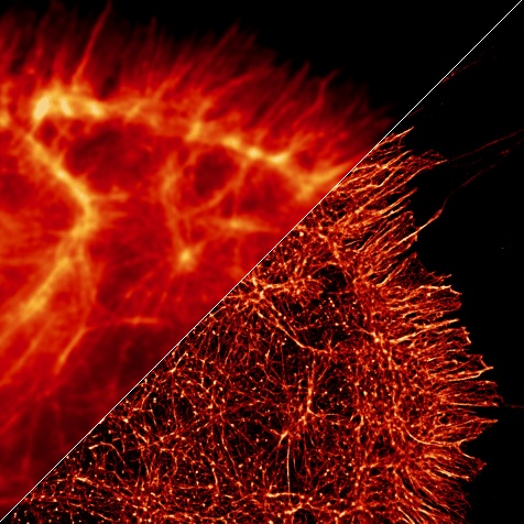 Microscopy themed background image